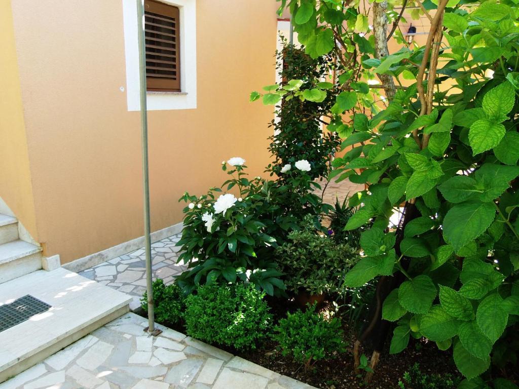 Apartments Beba Mali Lošinj Szoba fotó