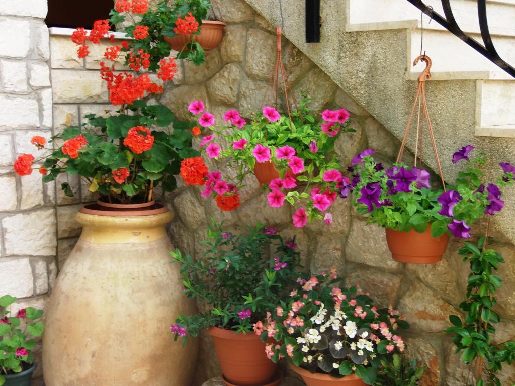Apartments Beba Mali Lošinj Szoba fotó