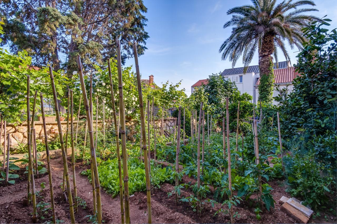 Apartments Beba Mali Lošinj Kültér fotó